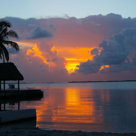 Rock Reef Resort Key Largo Exteriér fotografie