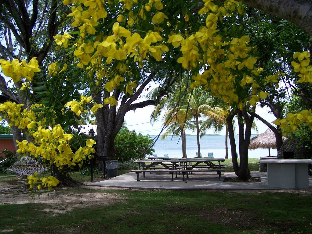 Rock Reef Resort Key Largo Exteriér fotografie