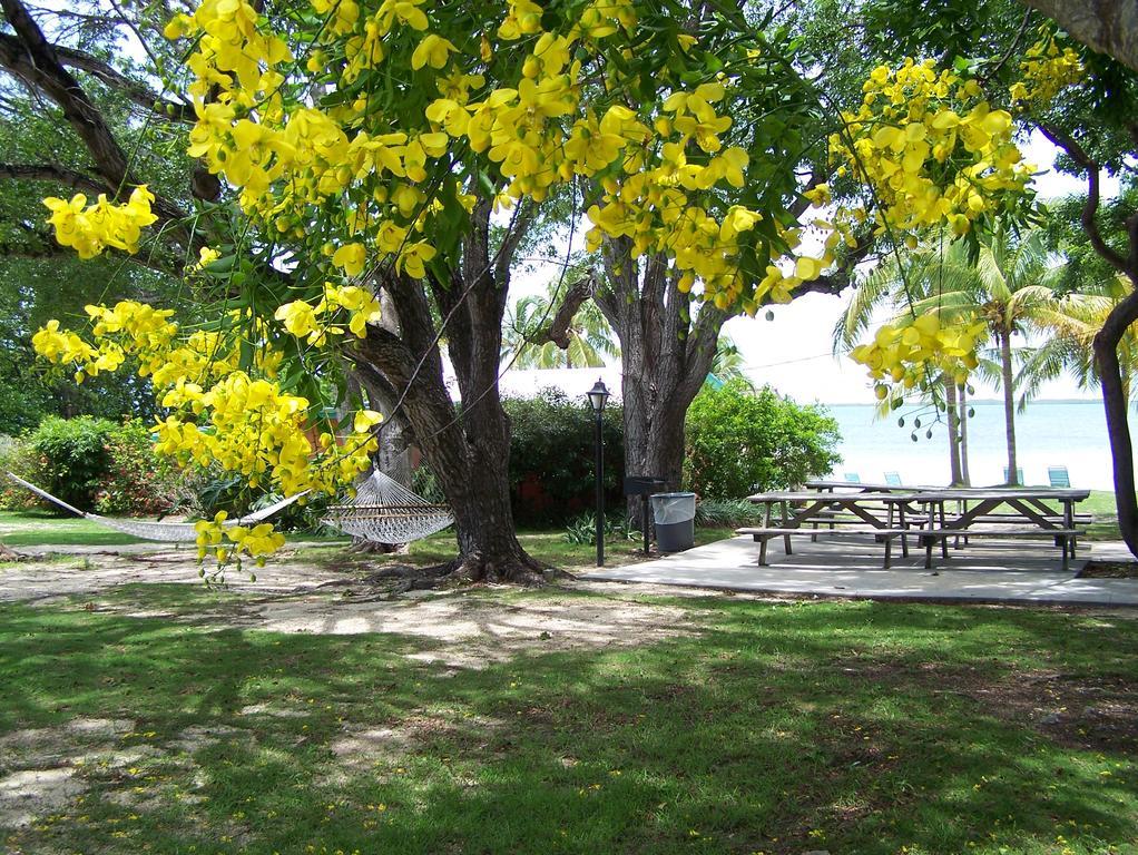 Rock Reef Resort Key Largo Exteriér fotografie