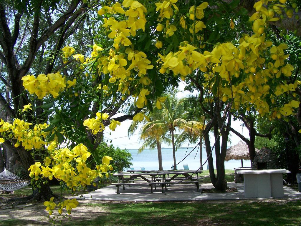 Rock Reef Resort Key Largo Exteriér fotografie